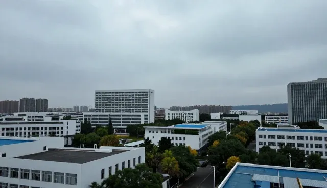 找绵竹企业名录查询,如何高效获取信息